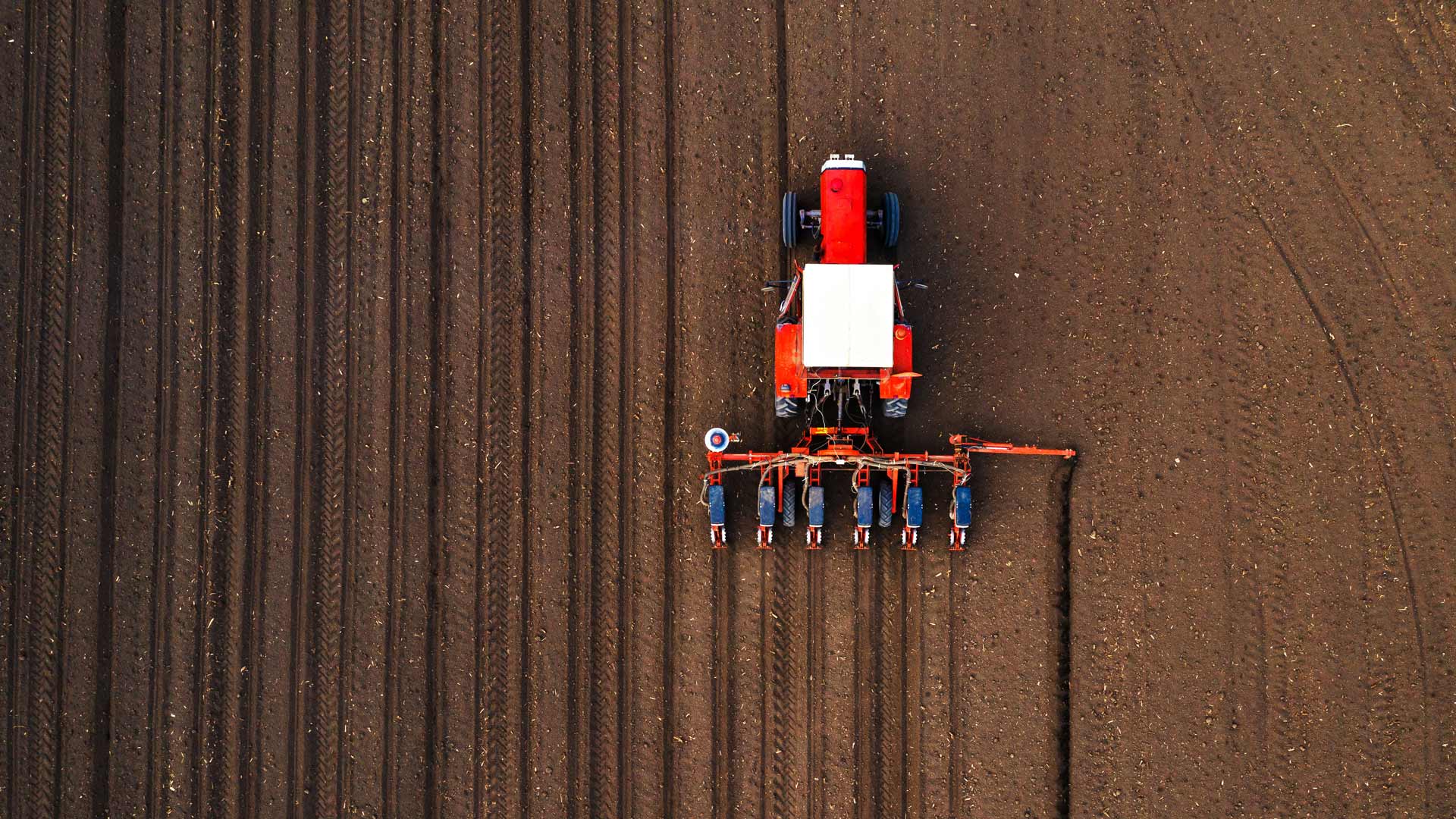 The future of food and sustainable agriculture