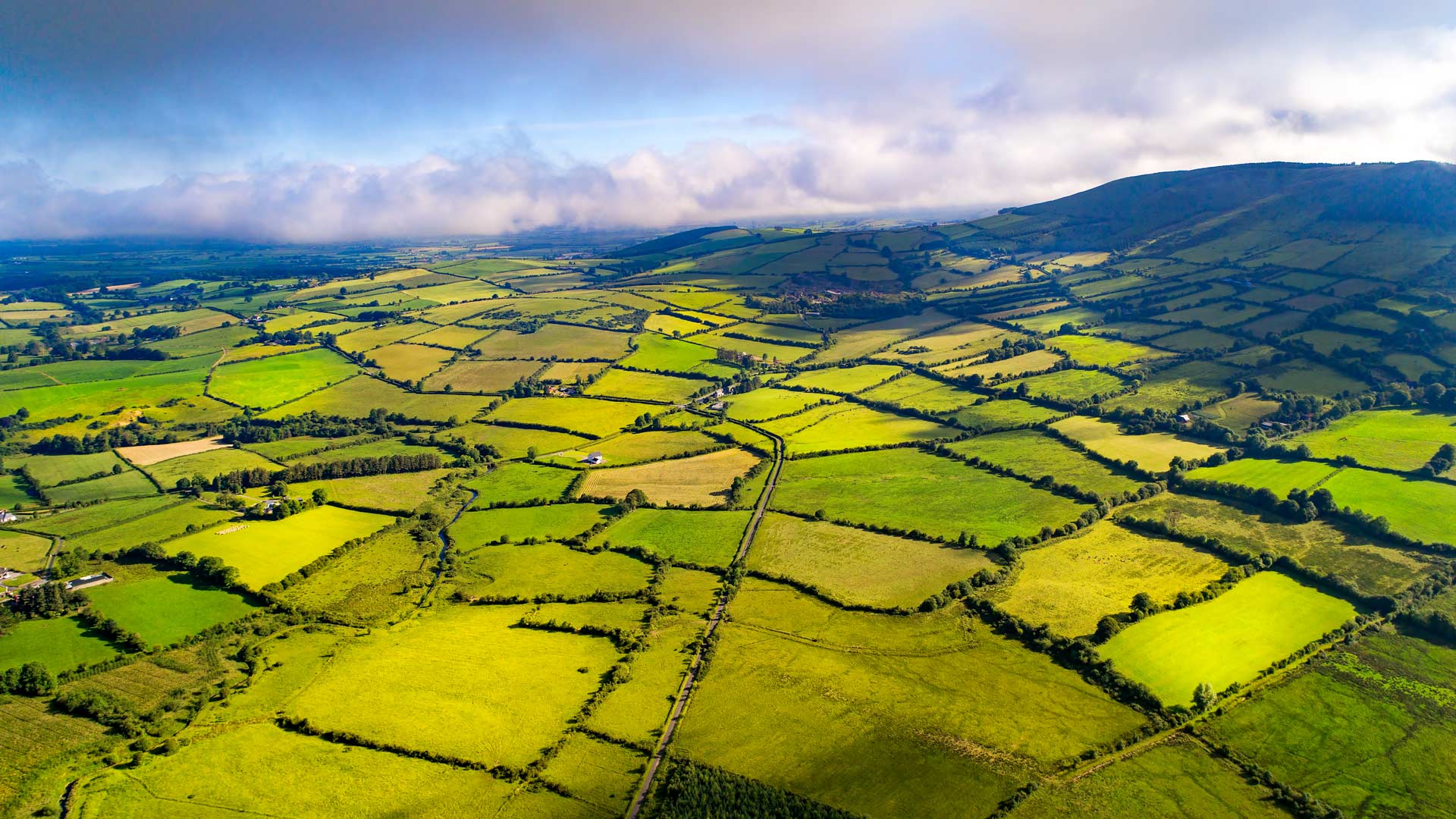Our thoughts on the FCA’s proposed Sustainable Disclosure Requirements