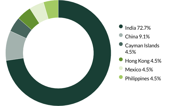 Global Emerging Markets All Cap proxy voting Q3 2025 country